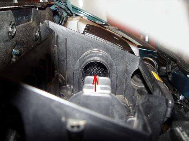 insert the spray tube following the arrow